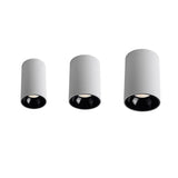Round COB – Strakke plafondspot met moderne precisie