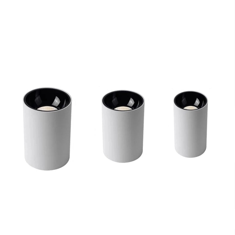 Round COB – Strakke plafondspot met moderne precisie