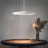 Scandi Disc – Minimalistische stijl, maximale uitstraling