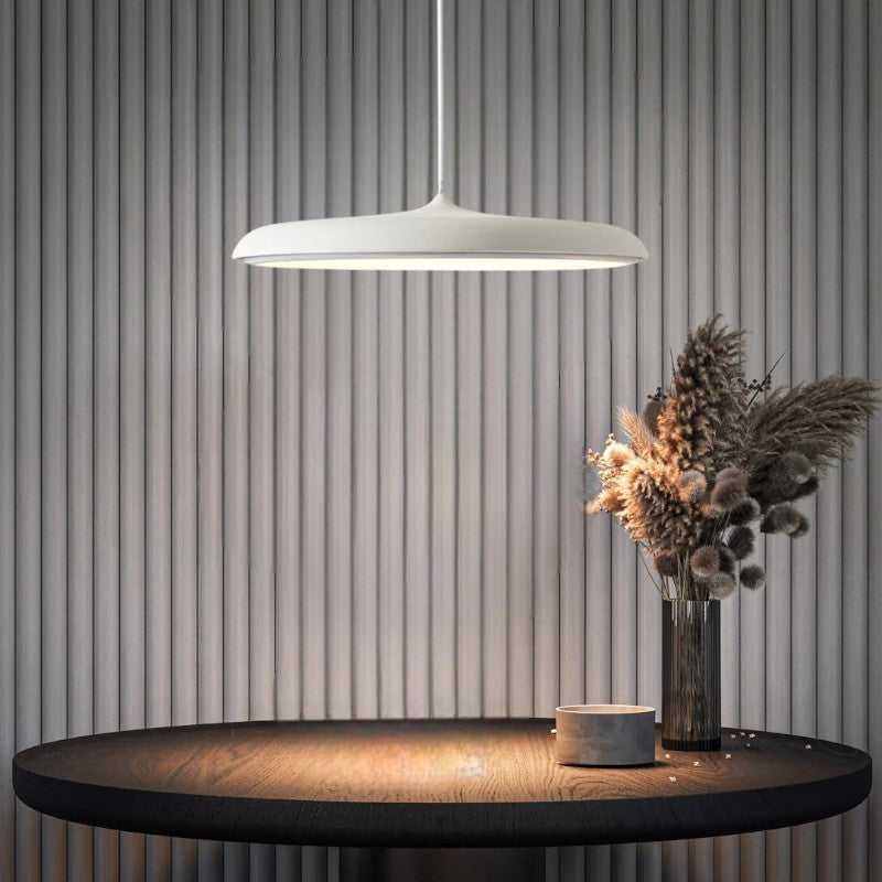 Scandi Disc – Minimalistische stijl, maximale uitstraling