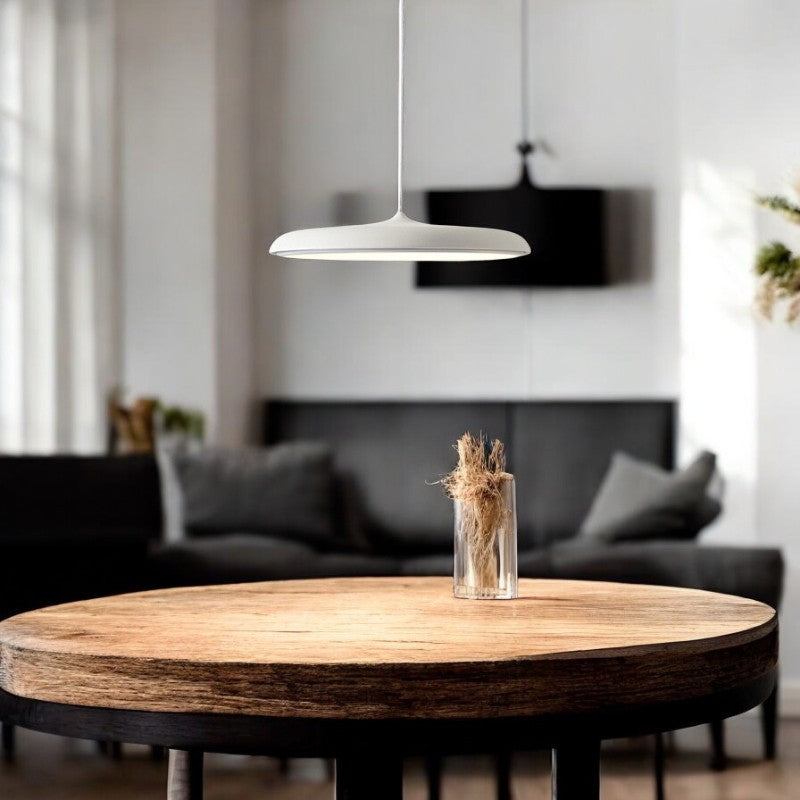 Scandi Disc – Minimalistische stijl, maximale uitstraling