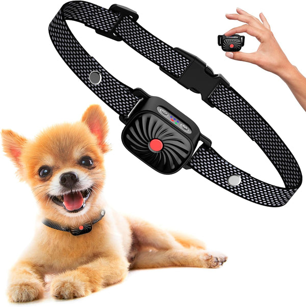 BarkEase – Anti-Blaf Halsband voor Kleine Honden