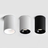 Round COB – Strakke plafondspot met moderne precisie