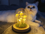 Nara – Betoverende Paddenstoellamp DIY Kit