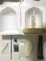 Nara – Betoverende Paddenstoellamp DIY Kit