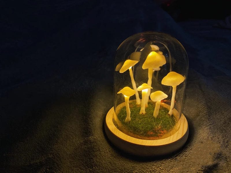 Nara – Betoverende Paddenstoellamp DIY Kit