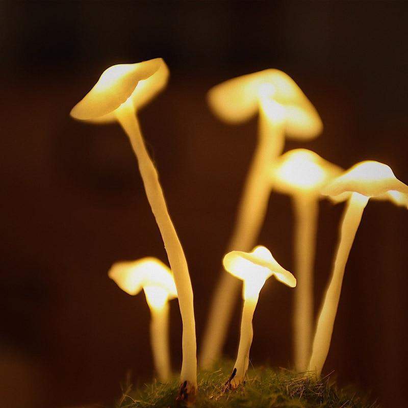 Nara – Betoverende Paddenstoellamp DIY Kit