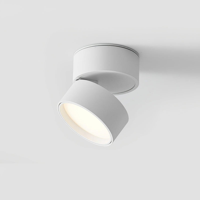 Favilla Plafondlamp – Modern, Verstelbaar en Sfeervol