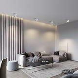 Favilla Plafondlamp – Modern, Verstelbaar en Sfeervol