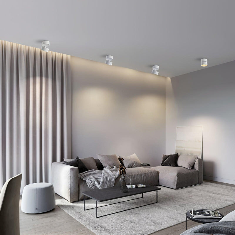 Favilla Plafondlamp – Modern, Verstelbaar en Sfeervol