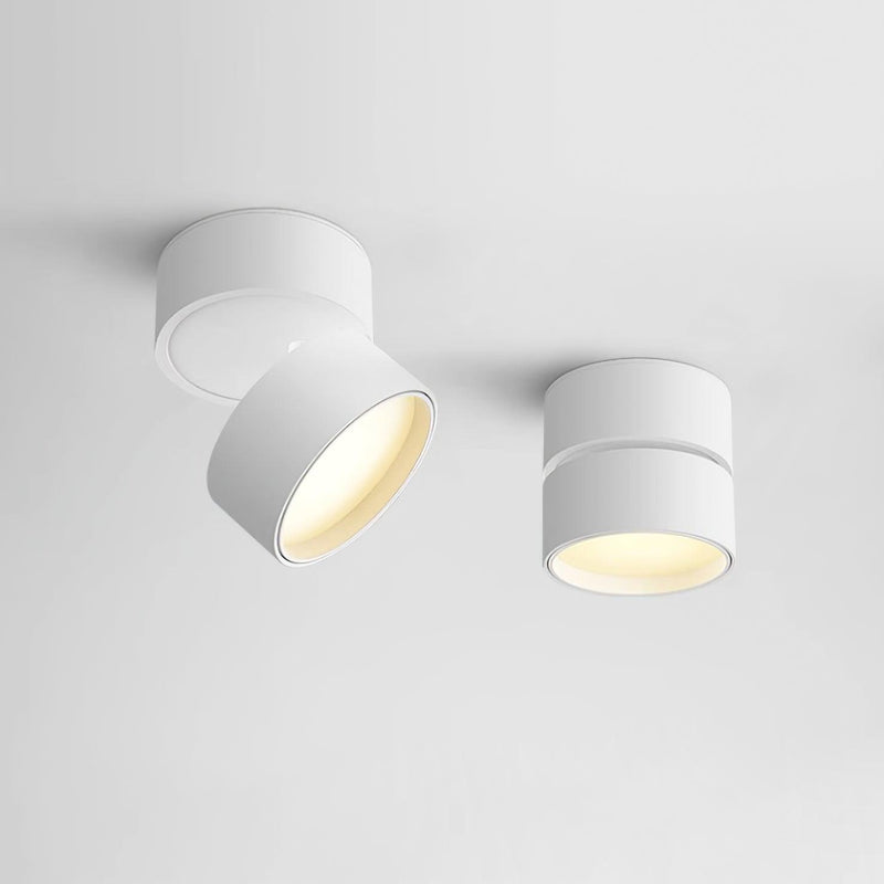 Favilla Plafondlamp – Modern, Verstelbaar en Sfeervol