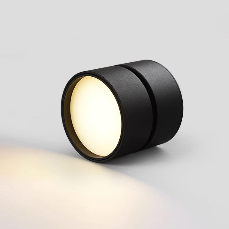 Favilla Plafondlamp – Modern, Verstelbaar en Sfeervol
