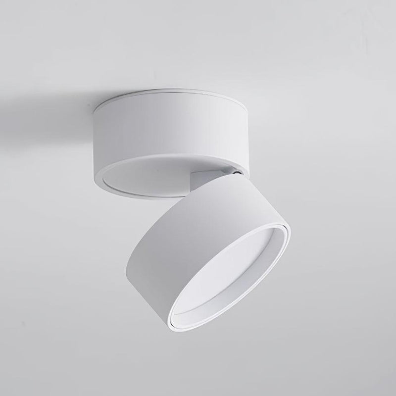 Favilla Plafondlamp – Modern, Verstelbaar en Sfeervol