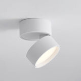 Favilla Plafondlamp – Modern, Verstelbaar en Sfeervol