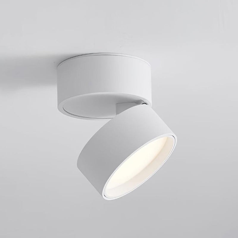 Favilla Plafondlamp – Modern, Verstelbaar en Sfeervol