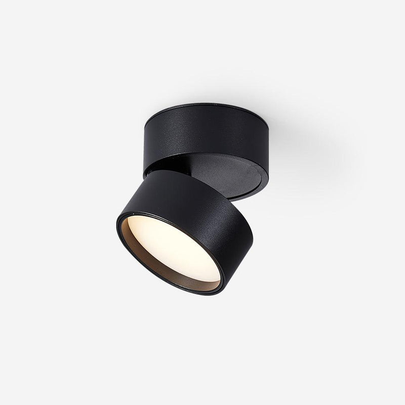 Favilla Plafondlamp – Modern, Verstelbaar en Sfeervol