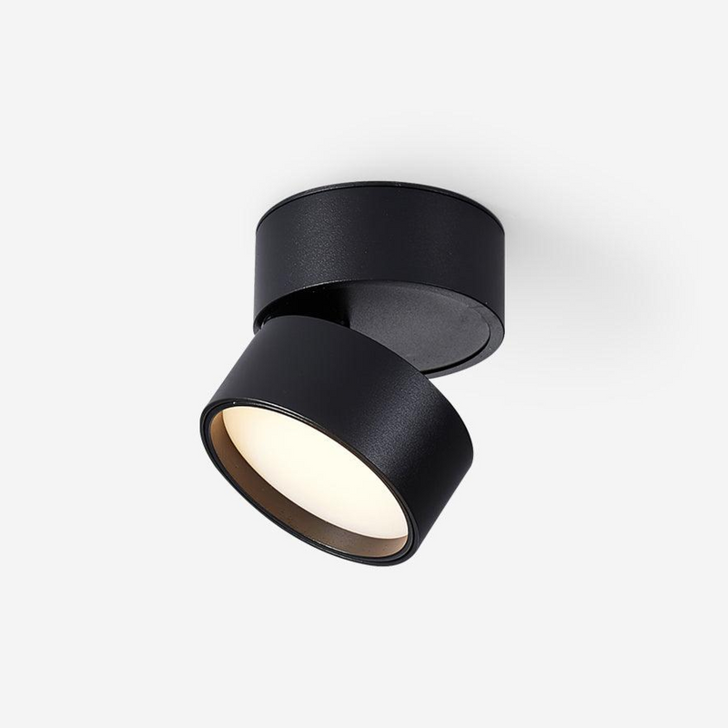 Favilla Plafondlamp – Modern, Verstelbaar en Sfeervol