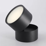 Favilla Plafondlamp – Modern, Verstelbaar en Sfeervol