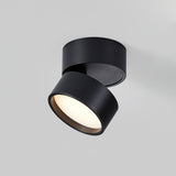 Favilla Plafondlamp – Modern, Verstelbaar en Sfeervol