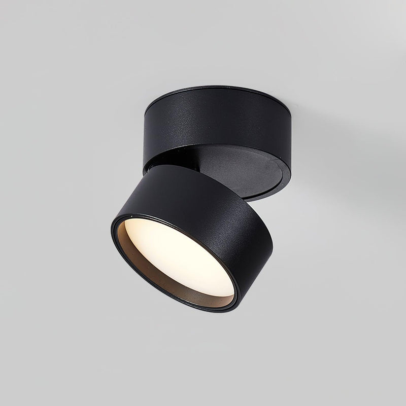Favilla Plafondlamp – Modern, Verstelbaar en Sfeervol