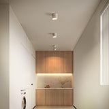 Favilla Plafondlamp – Modern, Verstelbaar en Sfeervol