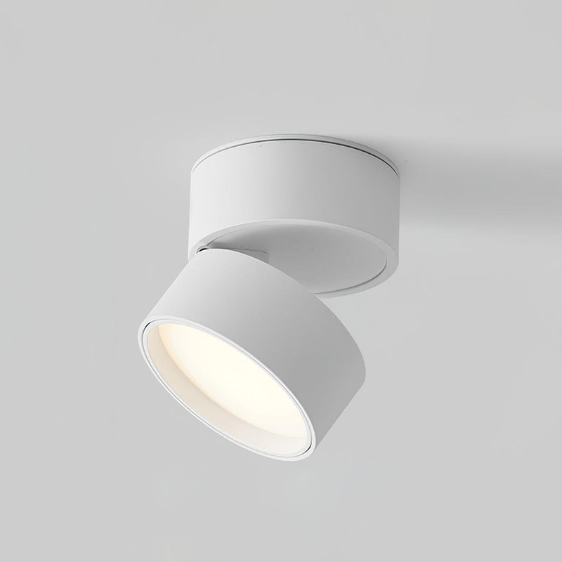Favilla Plafondlamp – Modern, Verstelbaar en Sfeervol