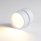 Favilla Plafondlamp – Modern, Verstelbaar en Sfeervol