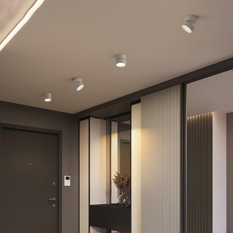 Favilla Plafondlamp – Modern, Verstelbaar en Sfeervol
