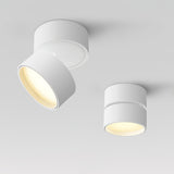 Favilla Plafondlamp – Modern, Verstelbaar en Sfeervol