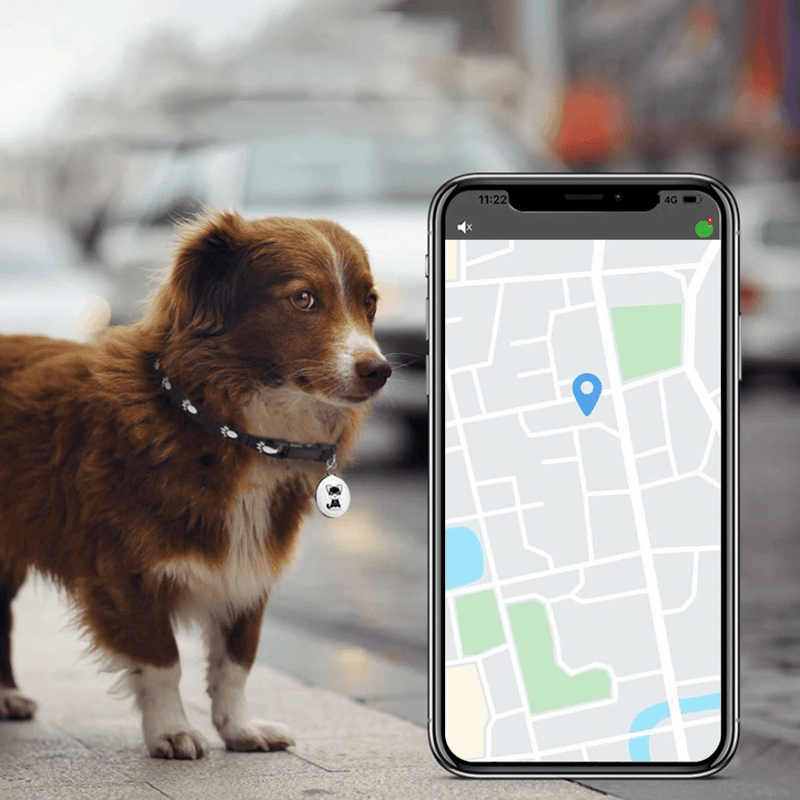 NARA - GPS Tracker voor Huisdieren met Bluetooth en Waterdicht Ontwerp – Compact en Lichtgewicht voor Veiligheid 3