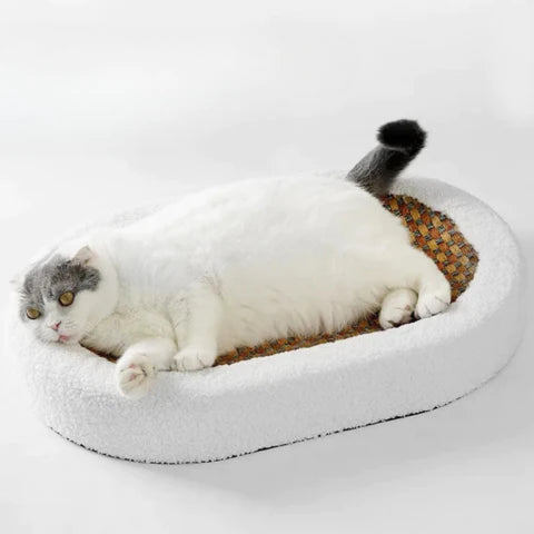 NARA - Luxe Krabpaal Kat met Pluche Beddengoed en Modern Ontwerp - Ideaal voor Ontspanning en Speelplezier 2