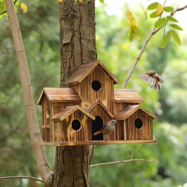 NARA - Luxe Vogelhuisje van Massief Hout met 6 Ingangsgaten voor Kleine Vogels 0