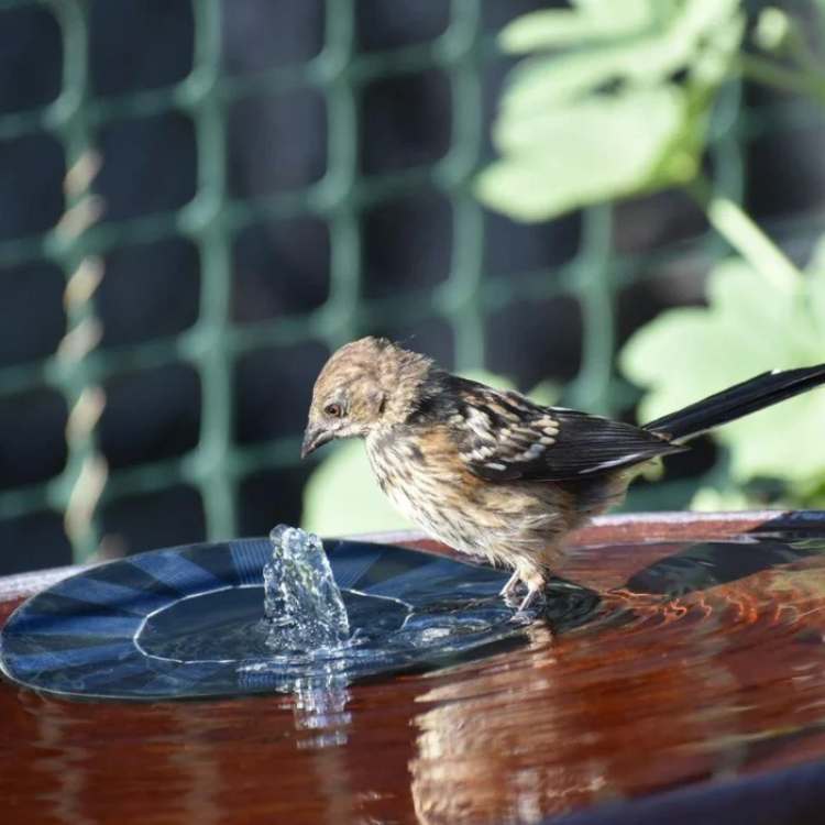 NARA - Solar Fontein voor Vijver en Vogelbad met 6 Sproeikoppen – Draadloze Zonne-energie, Duurzaam Kunststof 3