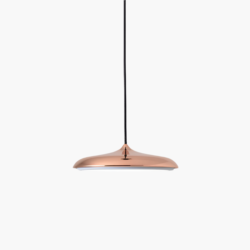 Scandi Disc – Minimalistische stijl, maximale uitstraling