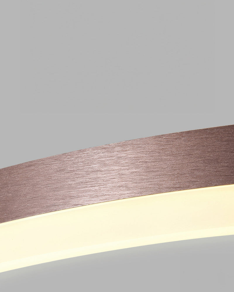 Elegant Ring Plafondlamp