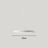 Scandi Disc – Minimalistische stijl, maximale uitstraling