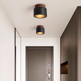 Ascend Stone – Plafondlamp met Natuurlijke Raffinement