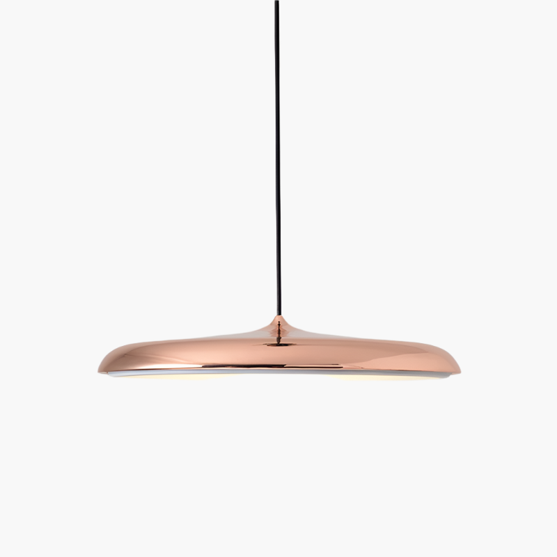 Scandi Disc – Minimalistische stijl, maximale uitstraling