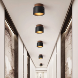 Ascend Stone – Plafondlamp met Natuurlijke Raffinement