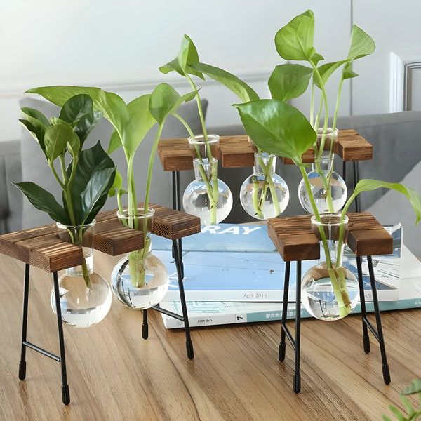 Nara – GlassRoot Vaasje met Houten Frame en Glazen Bol