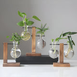 GlassHaven – Zwevend Hydrocultuurvaasje met Houten Standaard
