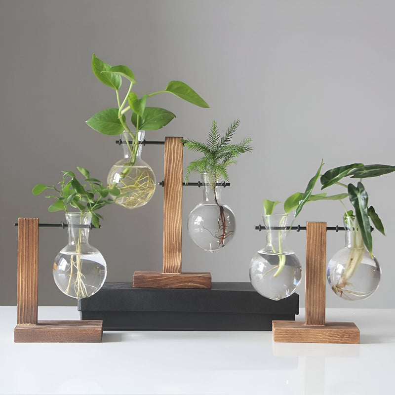 GlassHaven – Zwevend Hydrocultuurvaasje met Houten Standaard