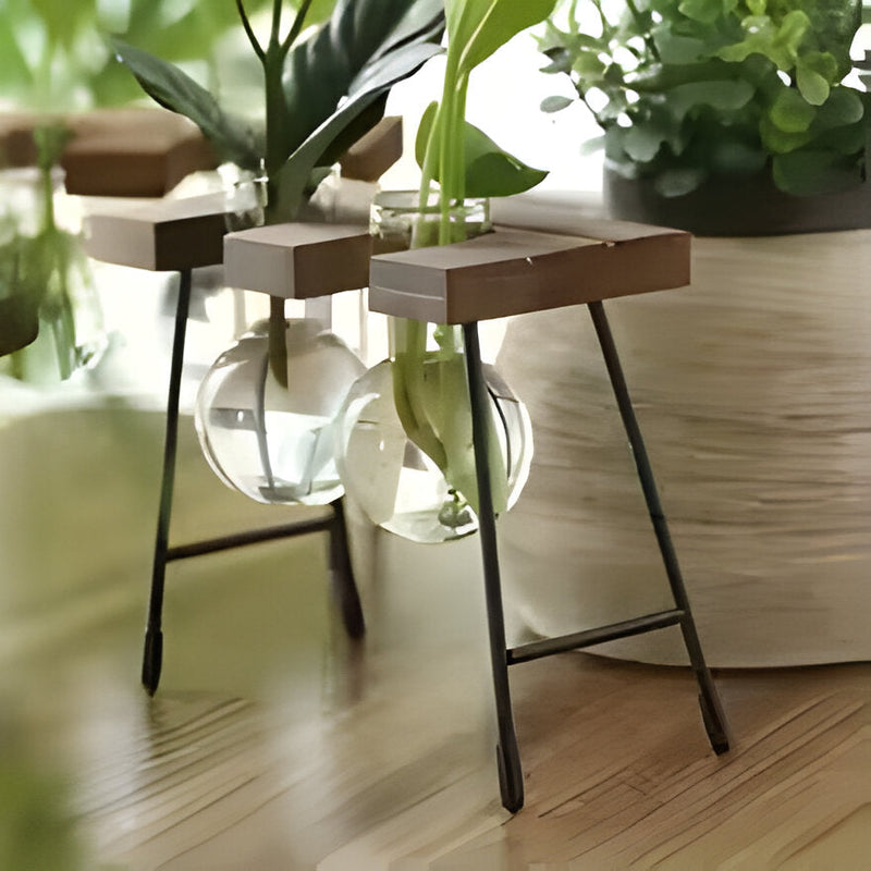 Nara – GlassRoot Vaasje met Houten Frame en Glazen Bol