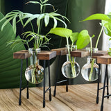 Nara – GlassRoot Vaasje met Houten Frame en Glazen Bol