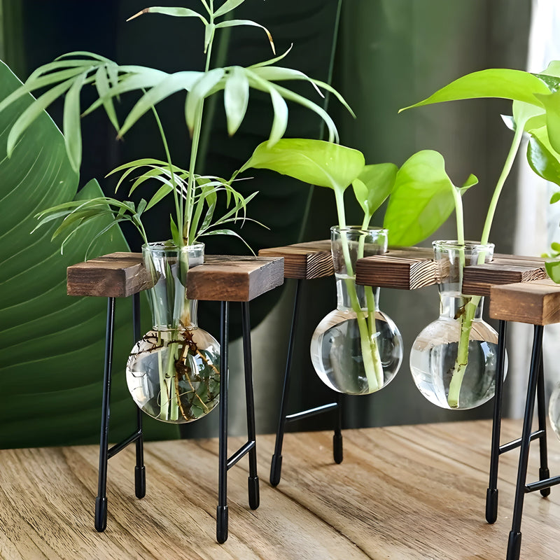Nara – GlassRoot Vaasje met Houten Frame en Glazen Bol