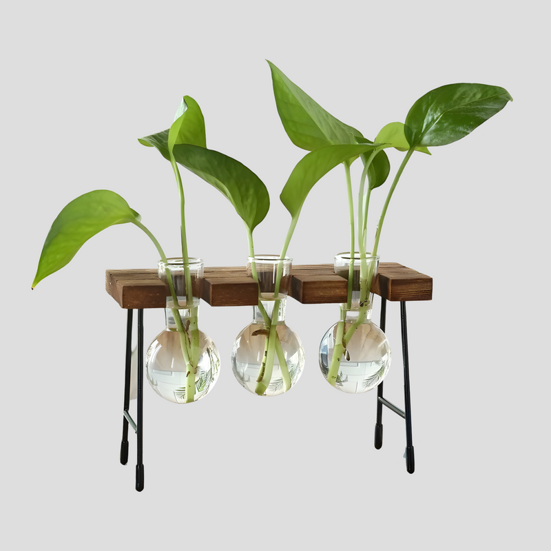 Nara – GlassRoot Vaasje met Houten Frame en Glazen Bol