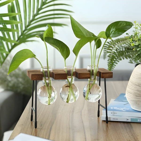 Nara – GlassRoot Vaasje met Houten Frame en Glazen Bol