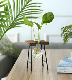 Nara – GlassRoot Vaasje met Houten Frame en Glazen Bol