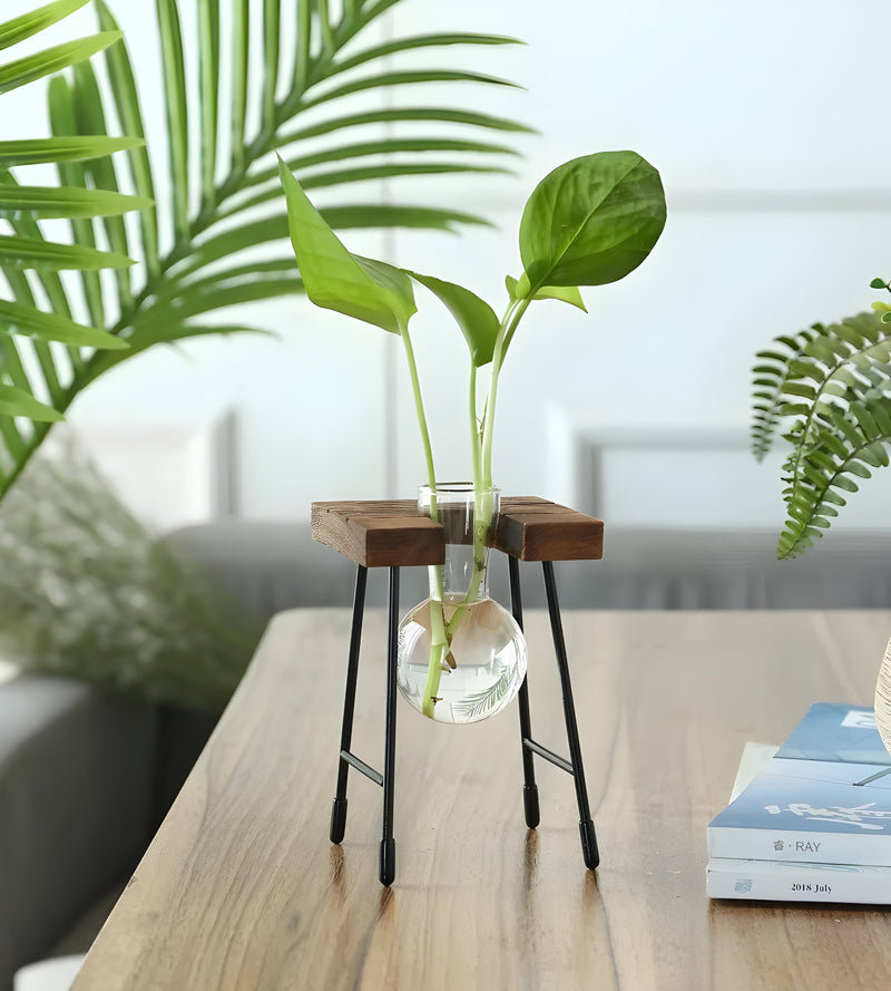 Nara – GlassRoot Vaasje met Houten Frame en Glazen Bol