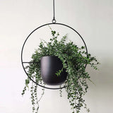 NARA - Moderne minimalistische muurplantenhanger